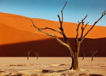 Namibia- 10/24 Agosto 2025